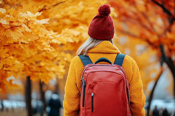JPG 편집이미지 여자 여유 여행 단풍 가방 단풍나무 휴식 한명 상반신 성인 야외 뒷모습 가을 디지털합성 가을여행 성인여자한명만 편집실사 AI인물포토 AI콘텐츠 나무 1 잡화 계절 감정 뷰포인트 컨셉 잎 사람 CG 여자한명만 성인여자만 파일형식 가을_계절 AI포토