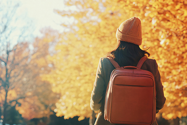JPG 편집이미지 여자 여유 여행 단풍 가방 단풍나무 휴식 한명 상반신 성인 야외 뒷모습 가을 디지털합성 가을여행 성인여자한명만 편집실사 AI인물포토 AI콘텐츠 나무 1 잡화 계절 감정 뷰포인트 컨셉 잎 사람 CG 여자한명만 성인여자만 파일형식 가을_계절 AI포토