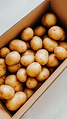 JPG 편집이미지 감자 건강 사람없음 상자 갈색 신선 농작 편집실사 AI포토 AI콘텐츠 컬러 채소 CG 파일형식