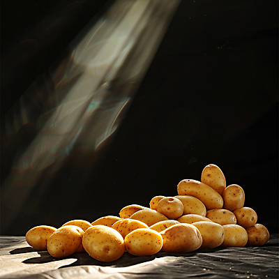 JPG 편집이미지 감자 건강 사람없음 햇빛 갈색 신선 농작 편집실사 AI포토 AI콘텐츠 컬러 채소 태양 CG 파일형식