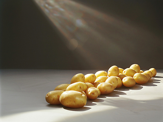 JPG 편집이미지 감자 건강 사람없음 햇빛 갈색 신선 농작 편집실사 AI포토 AI콘텐츠 컬러 채소 태양 CG 파일형식