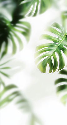 JPG 편집이미지 자연 사람없음 초록색 풀잎 이미지 편집실사 AI포토 AI콘텐츠 컬러 잎 풀_식물 CG 생태계 파일형식