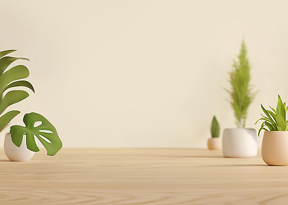 JPG 나무 편집이미지 화분 나뭇잎 사람없음 공간 풀잎 플랜테리어 편집3D AI컴퓨터그래픽 AI콘텐츠 식물 잎 인테리어 3D 풀_식물 파일형식