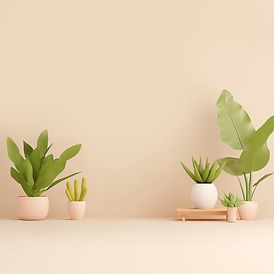 JPG 나무 편집이미지 화분 나뭇잎 사람없음 공간 풀잎 플랜테리어 편집3D AI컴퓨터그래픽 AI콘텐츠 식물 잎 인테리어 3D 풀_식물 파일형식