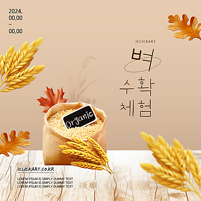 템플릿 팝업 사람없음 갈색 추석 농사 수확 추수 벼 쌀 가을 시골 체험 농촌체험 쌀포대 이미지템플릿 AI파일 계절 명절 컬러 컨셉 농업 곡류 체험학습 파일형식 벡터