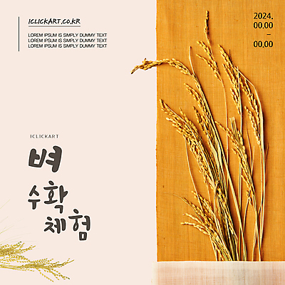 템플릿 팝업 사람없음 갈색 추석 농사 수확 추수 벼 쌀 가을 시골 체험 농촌체험 이미지템플릿 AI파일 계절 명절 컬러 컨셉 농업 곡류 체험학습 파일형식 벡터