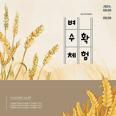 템플릿 팝업 사람없음 갈색 추석 농사 수확 추수 벼 쌀 가을 시골 체험 농촌체험 이미지템플릿 AI파일 계절 명절 컬러 컨셉 농업 곡류 체험학습 파일형식 벡터