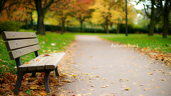 PSD 나무 편집이미지 공원 길 단풍 낙엽 벤치 단풍나무 사람없음 가을 휴식처 이미지편집 편집실사 식물 계절 공공시설 잎 의자 휴식 CG 파일형식