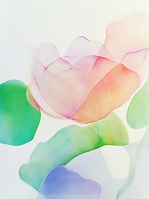 JPG 꽃 예술 잎 일러스트 자연 페인팅 수채화 사람없음 분위기 그림 연분홍색 국내일러스트 AI일러스트 AI콘텐츠 식물 분홍색 컨셉 생태계 파일형식