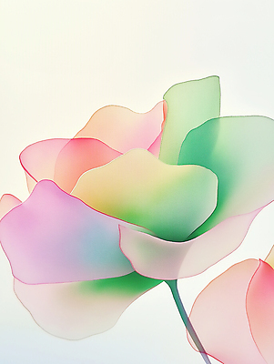 JPG 꽃 예술 잎 일러스트 자연 페인팅 수채화 사람없음 분위기 그림 연분홍색 국내일러스트 AI일러스트 AI콘텐츠 식물 분홍색 컨셉 생태계 파일형식