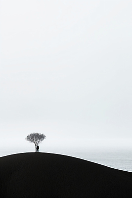 JPG 나무 편집이미지 추상 한명 사람 회색 분위기 언덕 심플 이미지 미니멀 편집실사 AI컴퓨터그래픽 AI콘텐츠 식물 1 컬러 컨셉 무늬 CG 파일형식