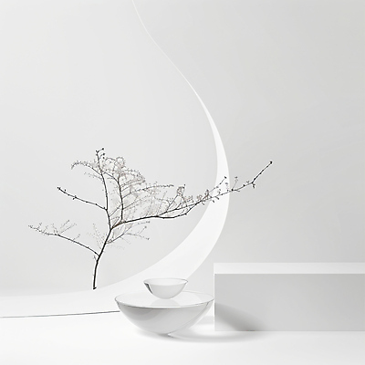 JPG 나무 편집이미지 접시 추상 사람없음 공간 회색 분위기 심플 이미지 미니멀 편집실사 AI컴퓨터그래픽 AI콘텐츠 식물 식기 컬러 컨셉 무늬 CG 파일형식