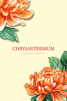 꽃잎 일러스트 국화 사람없음 노란색 가을 풀잎 화려 국내일러스트 AI파일 계절 꽃 컬러 컨셉 잎 풀_식물 파일형식 벡터