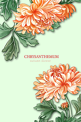 꽃잎 일러스트 국화 사람없음 연두색 가을 풀잎 화려 국내일러스트 AI파일 계절 꽃 컨셉 잎 초록색 풀_식물 파일형식 벡터