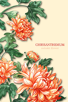 꽃잎 일러스트 국화 사람없음 노란색 가을 풀잎 화려 국내일러스트 AI파일 계절 꽃 컬러 컨셉 잎 풀_식물 파일형식 벡터