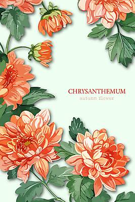 꽃잎 일러스트 국화 사람없음 연두색 가을 풀잎 화려 국내일러스트 AI파일 계절 꽃 컨셉 잎 초록색 풀_식물 파일형식 벡터