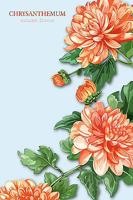 꽃잎 하늘색 일러스트 국화 사람없음 가을 풀잎 화려 국내일러스트 AI파일 계절 꽃 컨셉 잎 파란색 풀_식물 파일형식 벡터