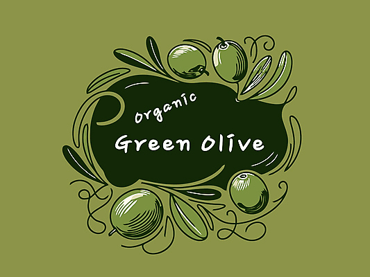 잎 일러스트 사람없음 초록색 유기농 올리브 드로잉 올리브열매 국내일러스트 AI파일 식물 웰빙 열매 컬러 미술 파일형식 벡터