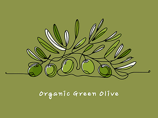 잎 일러스트 사람없음 초록색 유기농 올리브 드로잉 올리브열매 국내일러스트 AI파일 식물 웰빙 열매 컬러 미술 파일형식 벡터