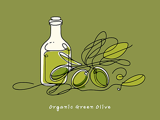 잎 일러스트 사람없음 초록색 오일 올리브오일 유기농 올리브 드로잉 올리브열매 국내일러스트 AI파일 식물 웰빙 열매 음식 컬러 미술 화장품 기름_음식 파일형식 벡터