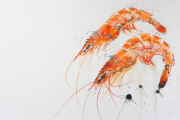 JPG 편집이미지 붓터치 새우 사람없음 주황색 해산물 편집실사 AI포토 AI콘텐츠 컬러 갑각류 CG 파일형식