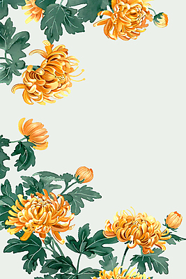 JPG 꽃잎 잎 일러스트 국화 사람없음 노란색 화려 꽃봉오리 국내일러스트 AI일러스트 AI콘텐츠 식물 꽃 컬러 컨셉 파일형식