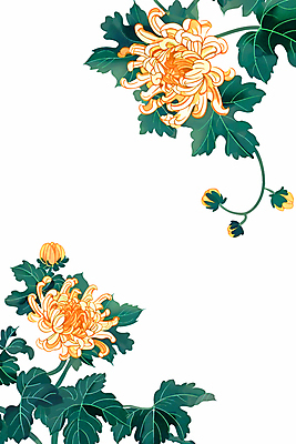 JPG 꽃잎 잎 일러스트 국화 사람없음 노란색 화려 꽃봉오리 국내일러스트 AI일러스트 AI콘텐츠 식물 꽃 컬러 컨셉 파일형식