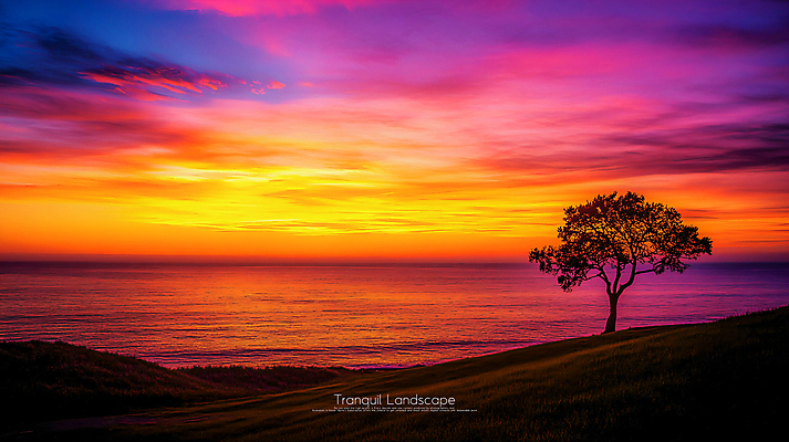 PSD 나무 편집이미지 실루엣 바다 사람없음 고요 황혼 일몰 언덕 이미지편집 편집실사 식물 촬영기법 노을 CG 파일형식