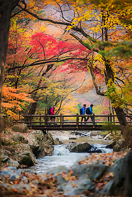 JPG 편집이미지 남자 단풍 단풍나무 산 풍경 성인 세명 걷기 가을풍경 등산 가을 강가 등산객 산행 가교 성인남자만 편집실사 AI포토 AI콘텐츠 나무 건축물 계절 잎 모션 사람 강 트래킹 CG 남자만 성인만 파일형식 가을_계절