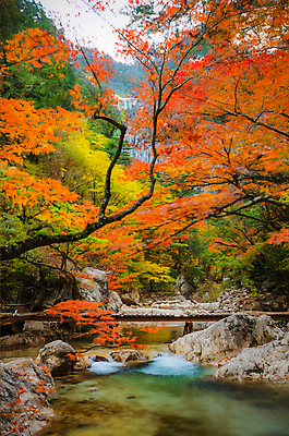 JPG 편집이미지 단풍 단풍나무 산 풍경 사람없음 가을풍경 등산 가을 바위 강가 가교 편집실사 AI포토 AI콘텐츠 나무 건축물 계절 잎 강 트래킹 돌_바위 CG 파일형식 가을_계절