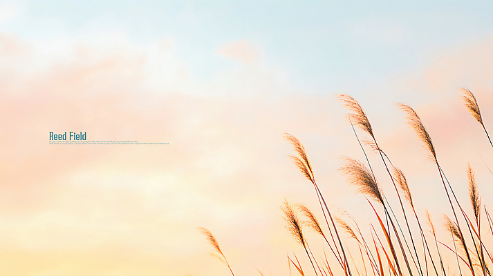 PSD 구름 편집이미지 하늘 사람없음 일몰 가을 갈대밭 이미지편집 편집실사 자연요소 계절 노을 CG 파일형식 갈대_식물