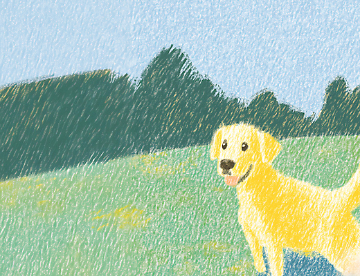 JPG 응시 행복 여유 일러스트 잔디 사람없음 초록색 귀여움 산책 강아지 국내일러스트 AI일러스트 AI콘텐츠 식물 시선 감정 컬러 컨셉 휴식 반려동물 개 파일형식