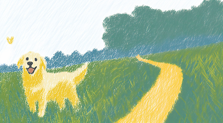 JPG 행복 길 여유 일러스트 잔디 사람없음 초록색 산책 하트 강아지 국내일러스트 AI일러스트 AI콘텐츠 모양 식물 감정 컬러 휴식 반려동물 개 파일형식