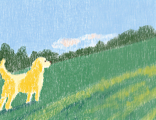 JPG 행복 여유 일러스트 가족 잔디 사람없음 초록색 산책 강아지 국내일러스트 AI일러스트 AI콘텐츠 식물 감정 컬러 관계 휴식 반려동물 개 파일형식