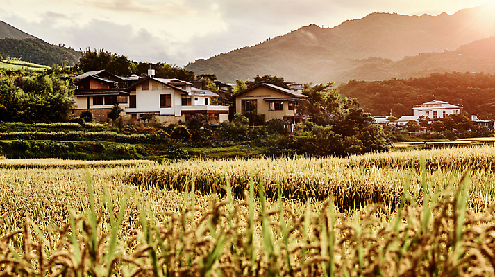 JPG 편집이미지 자연 산 주택 풍경 사람없음 햇빛 벼 가을 농촌 시골 디지털합성 편집실사 AI포토 AI콘텐츠 계절 곡류 건물 태양 CG 생태계 파일형식