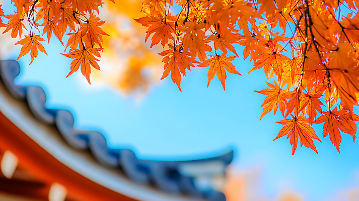 JPG 편집이미지 한국전통 단풍 낙엽 하늘 기와집 사람없음 가을 기와지붕 편집실사 AI포토 AI콘텐츠 전통 계절 잎 지붕 한옥 한국 기와 CG 파일형식