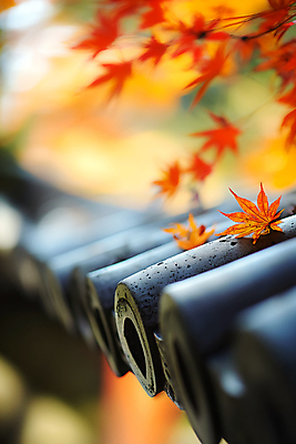 JPG 편집이미지 한국전통 단풍 낙엽 기와집 사람없음 가을 기와지붕 편집실사 AI포토 AI콘텐츠 전통 계절 잎 지붕 한옥 한국 기와 CG 파일형식