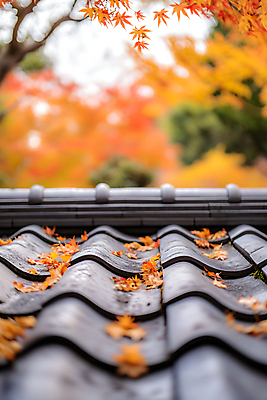JPG 편집이미지 한국전통 단풍 낙엽 기와집 사람없음 가을 기와지붕 편집실사 AI포토 AI콘텐츠 전통 계절 잎 지붕 한옥 한국 기와 CG 파일형식