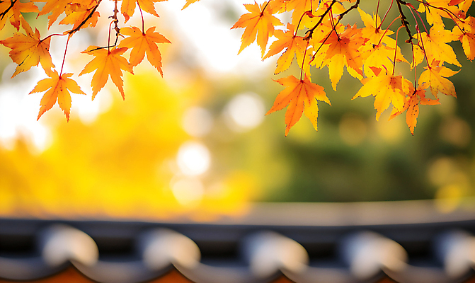 JPG 편집이미지 한국전통 단풍 낙엽 기와집 사람없음 가을 기와지붕 편집실사 AI포토 AI콘텐츠 전통 계절 잎 지붕 한옥 한국 기와 CG 파일형식