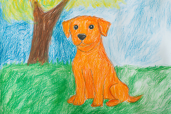 JPG 나무 편집이미지 교육 상상 색연필 미술 초원 사람없음 강아지 낙서 작품 창의력 편집실사 AI포토 AI콘텐츠 식물 문화예술 학용품 반려동물 개 CG 파일형식