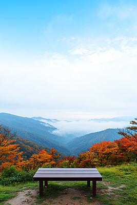 JPG 편집이미지 낙엽 자연 하늘 휴식 산 사람없음 가을풍경 가을 편안함 나무탁자 가을배경 편집실사 AI포토 AI콘텐츠 계절 백그라운드 컨셉 잎 탁자 풍경 감각 CG 생태계 파일형식 가을_계절
