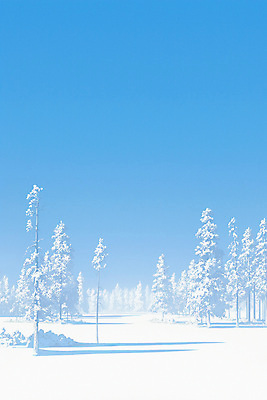 JPG 나무 겨울 일러스트 자연 하늘 풍경 사람없음 파란색 흰색 눈 차가움 국내일러스트 AI일러스트 AI콘텐츠 자연요소 식물 계절 컬러 날씨 생태계 파일형식