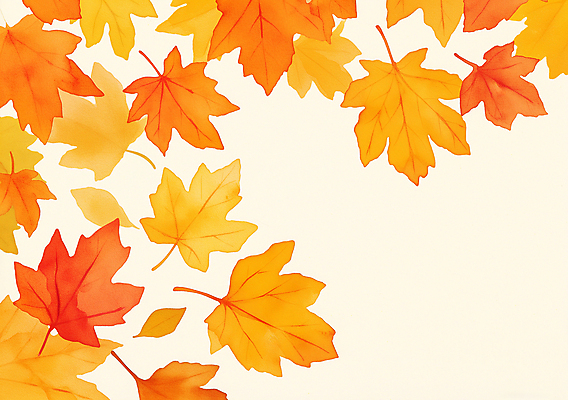 JPG 단풍 낙엽 일러스트 나뭇잎 사람없음 주황색 가을 국내일러스트 AI일러스트 AI콘텐츠 계절 컬러 잎 파일형식