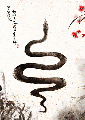 PSD 꽃 일러스트 붓터치 새해 흑백 사람없음 검은색 뱀띠 뱀 동양화 질감 베이지색 2025년 을사년 국내일러스트 식물 컬러 파충류 촬영기법 미술 십이지신 연도 파일형식