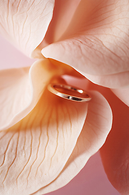 JPG 편집이미지 꽃잎 결혼 사람없음 장미 우아함 결혼반지 다이아몬드 살구색 편집소스 편집실사 AI포토 AI콘텐츠 꽃 컬러 컨셉 이벤트 반지 보석 CG 파일형식