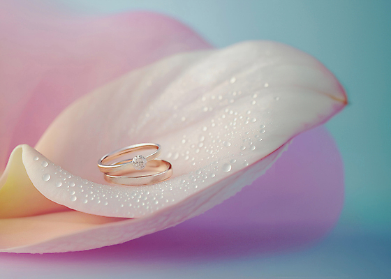 JPG 편집이미지 꽃잎 결혼 사람없음 보라색 우아함 결혼반지 커플반지 다이아몬드 편집소스 편집실사 웨딩밴드 AI포토 AI콘텐츠 꽃 컬러 컨셉 이벤트 반지 보석 CG 파일형식