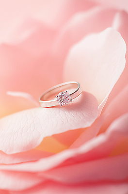 JPG 편집이미지 꽃잎 분홍색 결혼 프로포즈 사람없음 우아함 결혼반지 다이아몬드 편집소스 편집실사 AI포토 AI콘텐츠 꽃 컬러 컨셉 이벤트 반지 보석 CG 파일형식