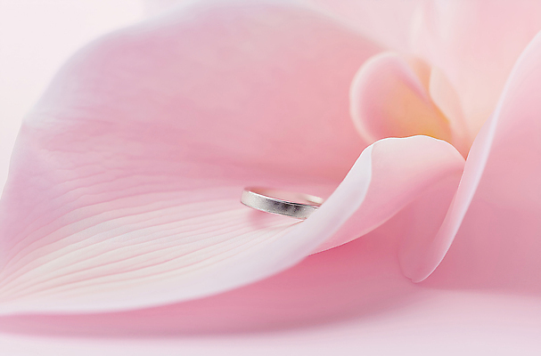 JPG 편집이미지 꽃잎 분홍색 결혼 사람없음 우아함 결혼반지 다이아몬드 편집소스 편집실사 AI포토 AI콘텐츠 꽃 컬러 컨셉 이벤트 반지 보석 CG 파일형식