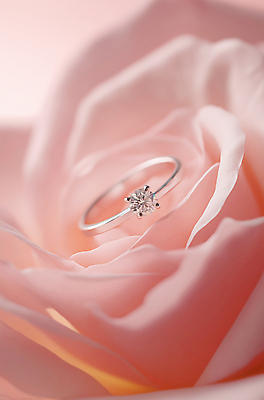 JPG 편집이미지 꽃잎 분홍색 결혼 프로포즈 사람없음 우아함 결혼반지 다이아몬드 편집소스 편집실사 AI포토 AI콘텐츠 꽃 컬러 컨셉 이벤트 반지 보석 CG 파일형식