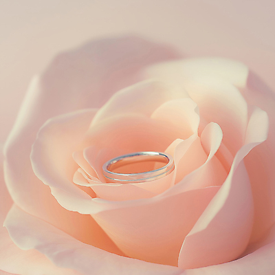JPG 편집이미지 꽃잎 결혼 사람없음 우아함 결혼반지 다이아몬드 살구색 편집소스 편집실사 AI포토 AI콘텐츠 꽃 컬러 컨셉 이벤트 반지 보석 CG 파일형식